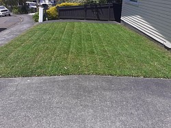 Regular Lawn mows
