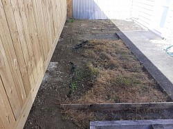 A not so nice garden bed