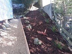 To a whole new garden